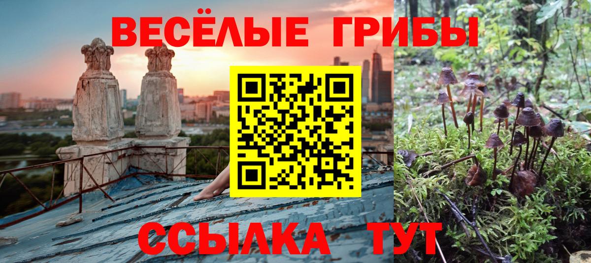 Галлюциногенные грибы ЛСД Гулькевичи