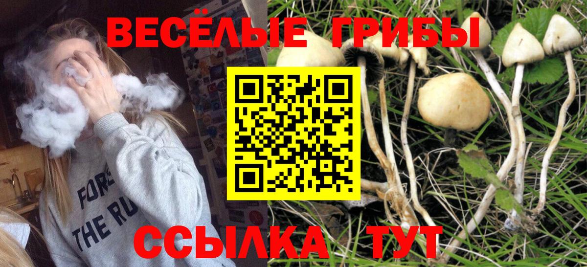 Гулькевичи  Галлюциногенные грибы ЛСД  Вход с VPN 