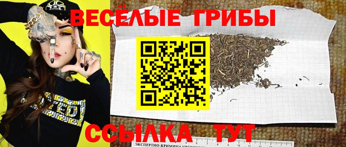 Сколько стоит  Мефедрон кристаллы  COCAIN  A PVP СК   Вход с VPN  ЭКСТАЗИ  Гулькевичи  Гашиш  МАРИХУАНА 